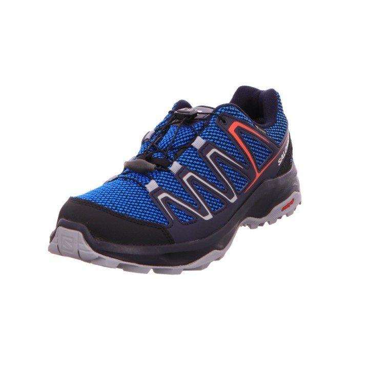 Adidas Custer GTX blau 9