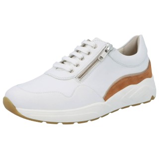 Solidus 66007 90357 - 238100133 3