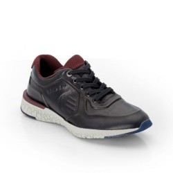 LLOYD BENEDICT 7,5