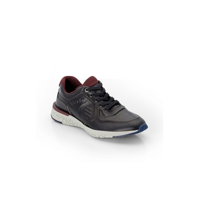 LLOYD BENEDICT 7,5