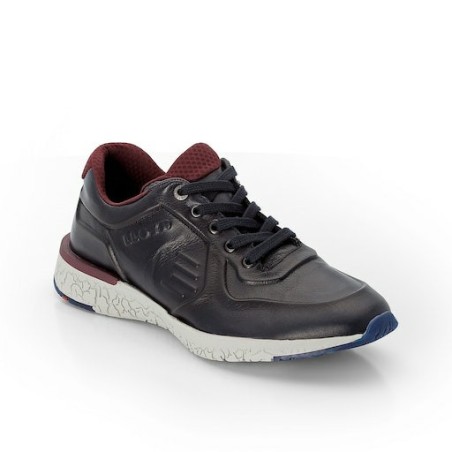 LLOYD BENEDICT 7,5