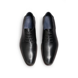 - OHIO - 163-00-37-01 : 7 7