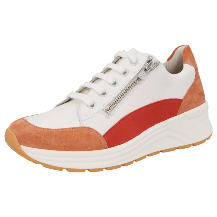 Solidus 59075 50209 - 238500130 3