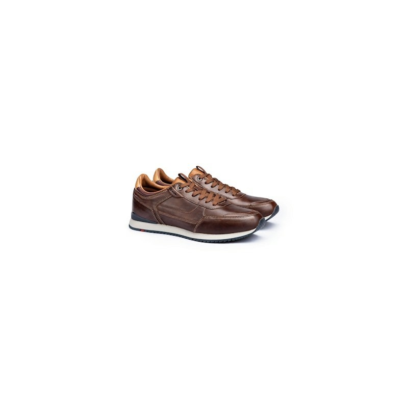LLOYD EDITTA 6,5