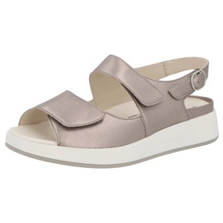 Solidus 75031 40503 - 298400197 7