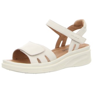 Westland 17903-409010 - 287104003 40