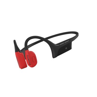 Wing with Charging Dock