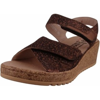 - Noor brown 41958 - 169-15-02-0001 41