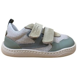 Zapy  Sneaker AJ211472 FOCHA Deportiva respetuosa Verde