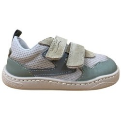 Zapy  Sneaker AJ211472 FOCHA Deportiva respetuosa Verde