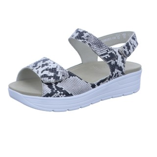 Solidus 48000 - 298200049 6,5