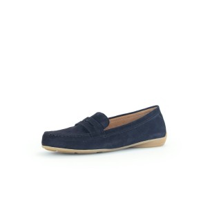 -  - 24088600018 5,5