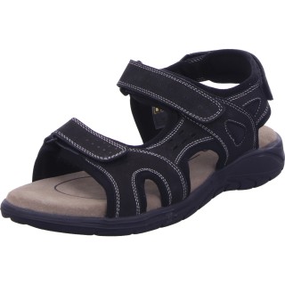 Lico Walton V - 120-00-51-01 43