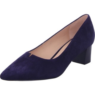 Peter Kaiser  - 244-10-51-02 41