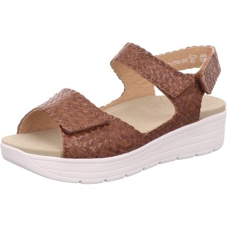 Solidus Greta braun 3