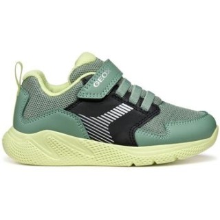 Geox  Sneaker Baskets enfant  Sprintye A