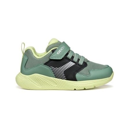 Geox  Sneaker Baskets enfant  Sprintye A