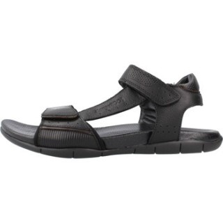 Kangaroos  Sandalen K521