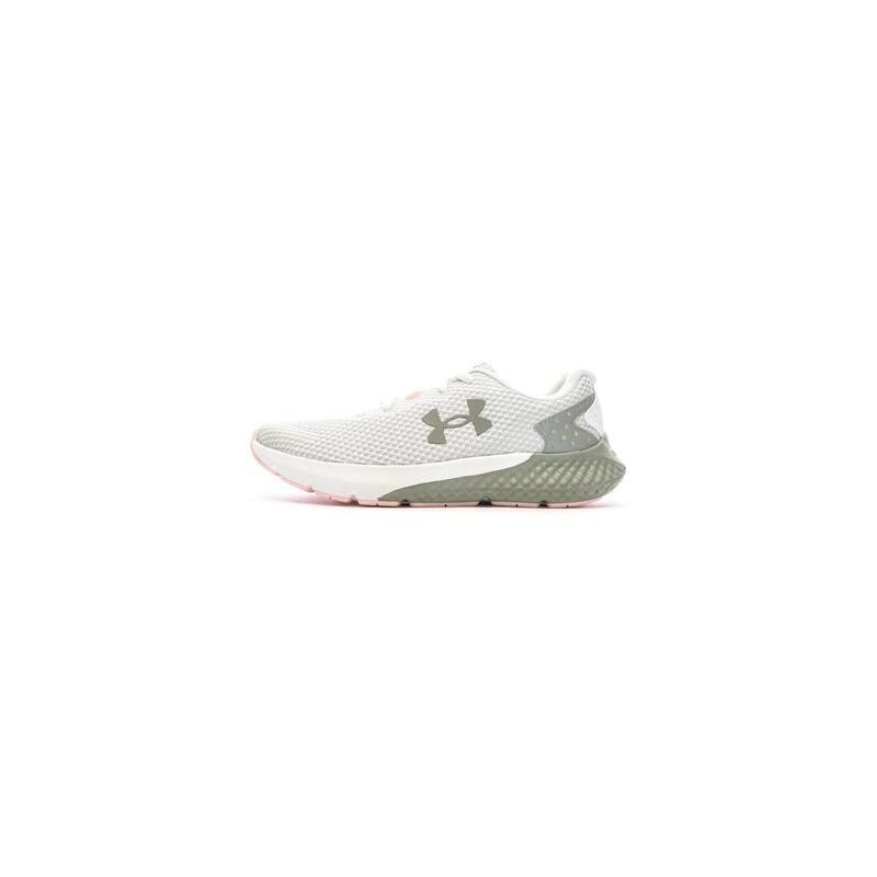 Under Armour  Herrenschuhe 3024888-102