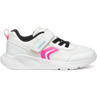 Geox  Sneaker Baskets femme  Sprintye B