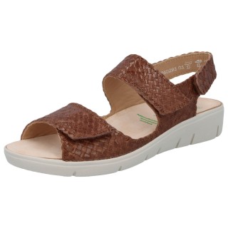 Solidus Honey FLECHT hazel H braun 3