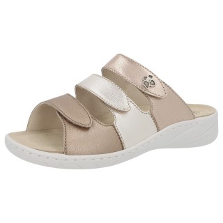 Solidus 20141 40557 - 288400077 3