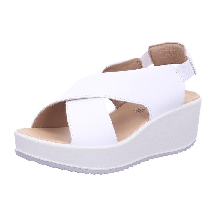 IGI 5668 877 - 290100048 37