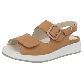 Solidus 75032 30671 - 298300079 3,5