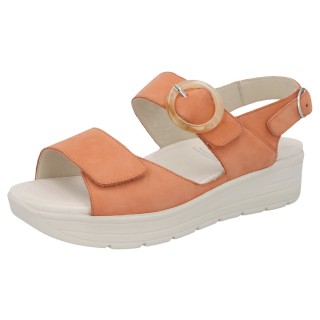 Solidus 48022 50278 - 298500084 4