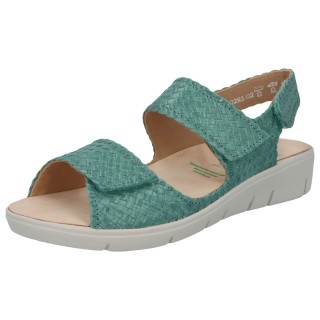 Solidus 76029 70157 - 298700012 7,5