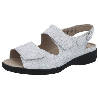 Solidus 73144 20825 - 298200136 3,5