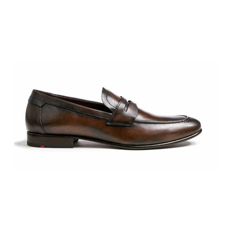 Lloyd braun 8,5