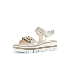 -  - 291 910 009 : 5½ 5,5