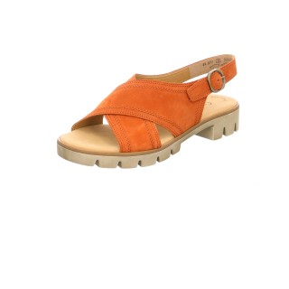 Gabor Männlich braun 8