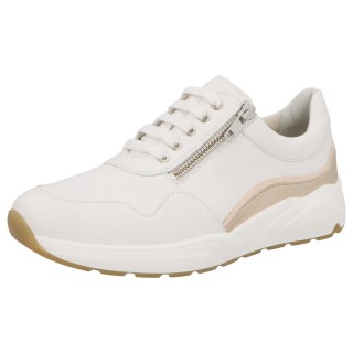 Solidus 66007 10333 - 238100277 3