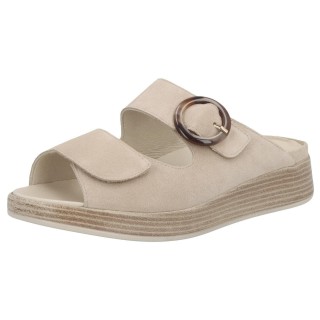 Solidus 75035 40464 - 288400101 3