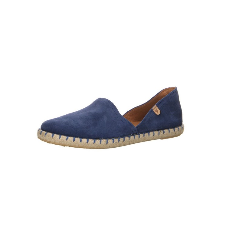 Verbenas Carmen blau 40