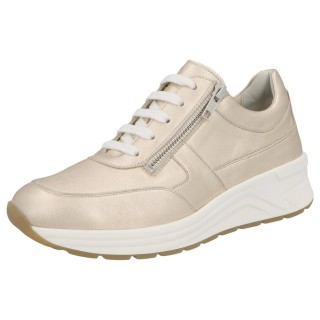 Solidus 59079 20929 - 238200161 3,5