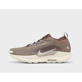Nike Pegasus trail 5 GORE-TEX, Brown