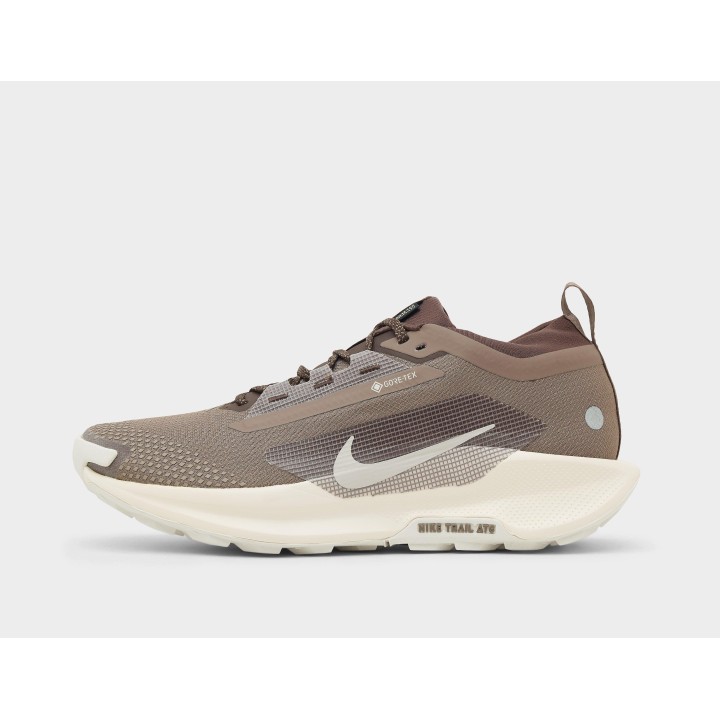 Nike Pegasus trail 5 GORE-TEX, Brown