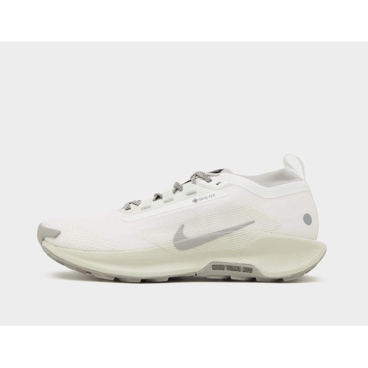 Nike Pegasus trail 5 GORE-TEX, White