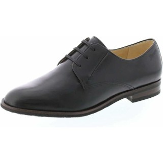 - Bovisisio Schwarz - 53-006-1-23-01 10