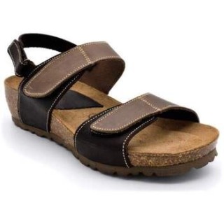 Interbios-Silvio  Halbschuhe 5343 Beige