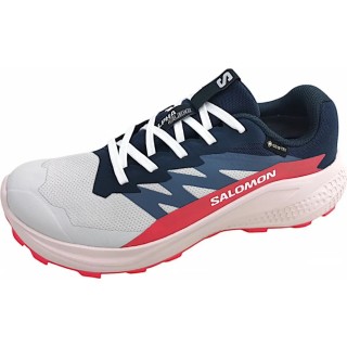 Salomon Alphaglide GTX Dames 6,5