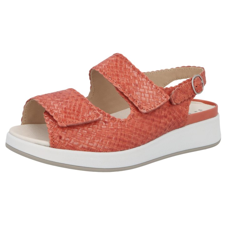 Solidus 75034 50276 - 298500082 3