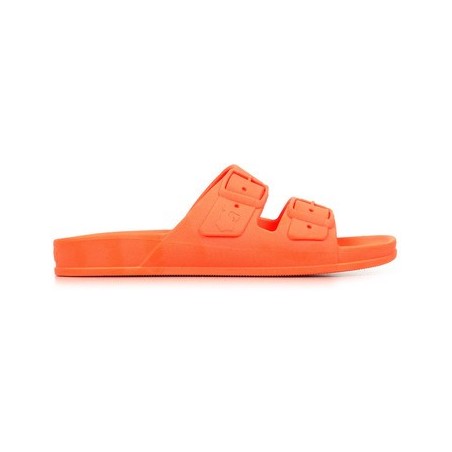 Cacatoès  Sandalen Bahia