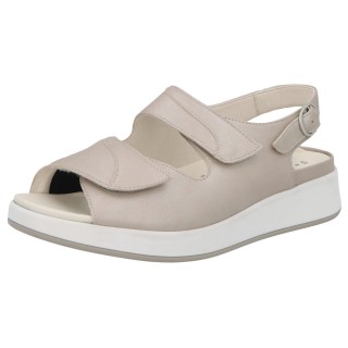 Solidus 75500 30578 - 298300077 3,5