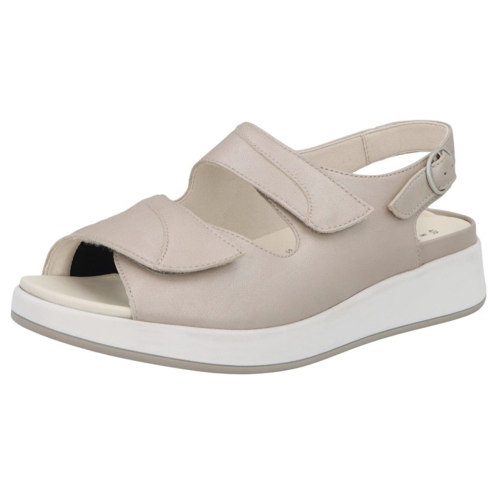 Solidus 75500 30578 - 298300077 3,5