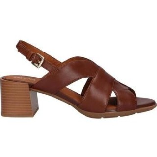 Geox  Pumps D35RLA 00043 D NEW MARYKARMEN