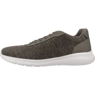 Geox  Sneaker U MONREALE